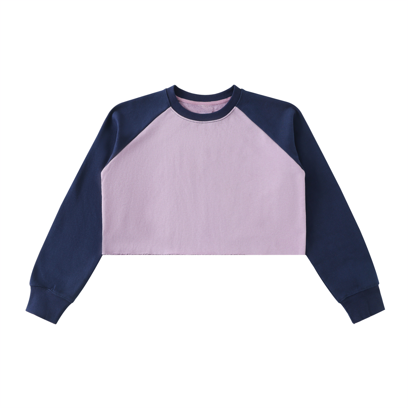 トップス anuke Raglan Sleeve Sweat anuke アンヌーク Raglan Sleeve Sweat