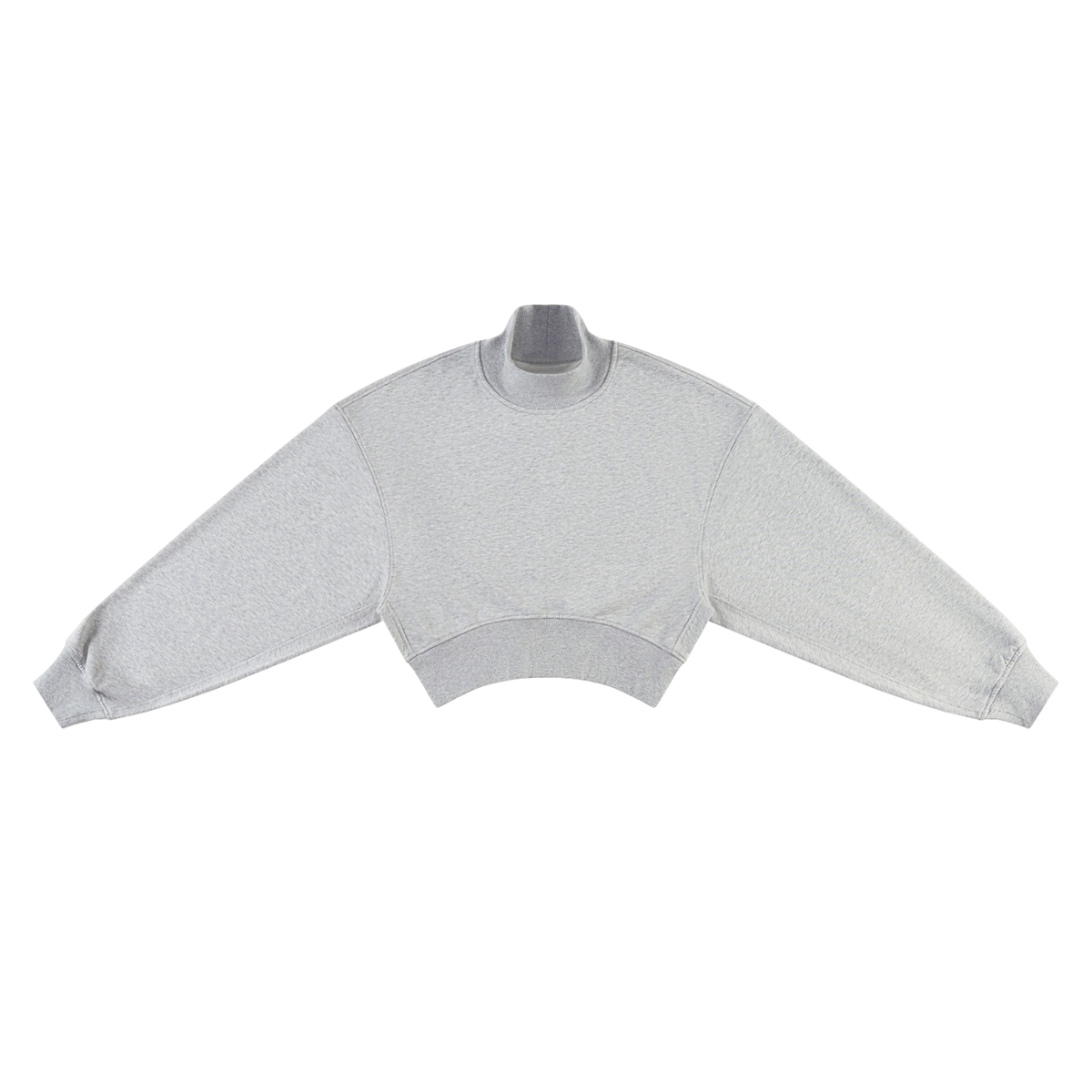 Crop Mock Neck Sweatshirt - Wingspan