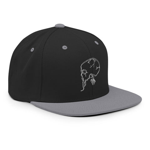 Classic Snapback Cap - PEZUNA I