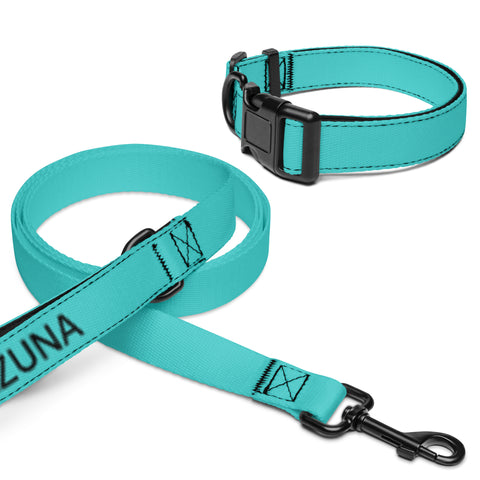 Collar and Leash - Dark Turquoise I