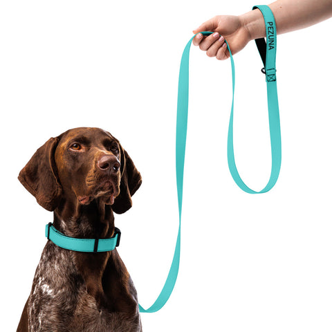 Collar and Leash - Dark Turquoise I