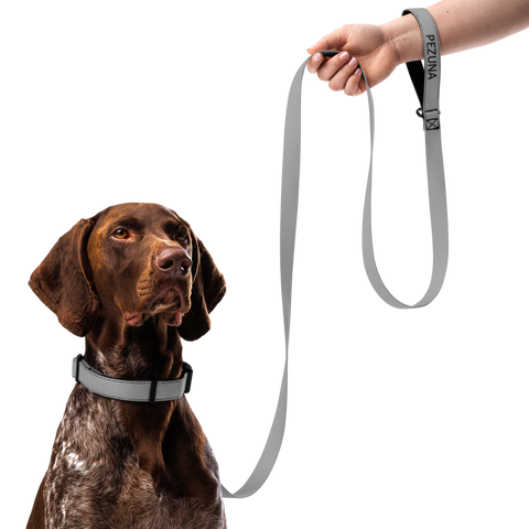 Pet Collars and Leashes