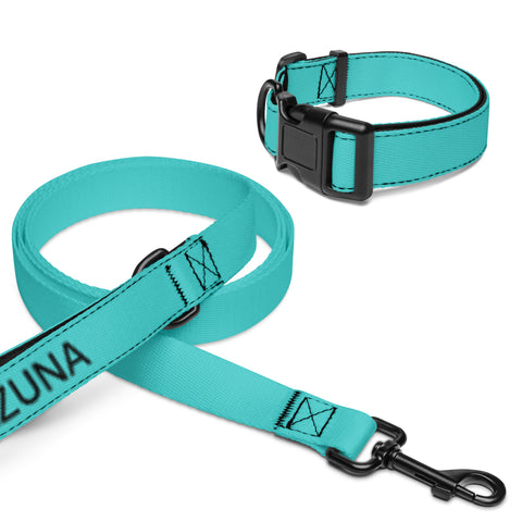 Collar and Leash - Dark Turquoise I