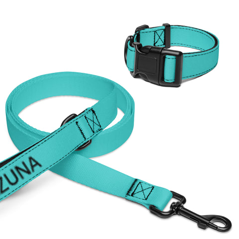 Collar and Leash - Dark Turquoise I