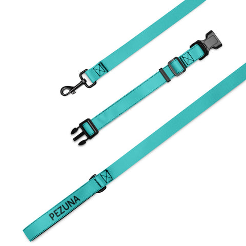 Collar and Leash - Dark Turquoise I